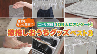 店員さんも使っている！ニトリ店員ゲキ推しおうちグッズ！【チャント！特集】