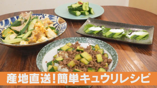 今が旬のキュウリ!農家直伝スタミナ満点激ウマレシピが続々登場!【チャント!特集】