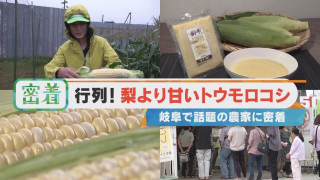 梨より甘い?場所によっては約900円?高級トウモロコシが爆売れする理由は?【チャント!特集】