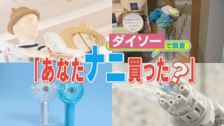 便利グッズにコスパ抜群活用術も！？ダイソーで調査、あなたナニ買った？【チャント！特集】