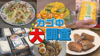 【密着】その食材で何を作りますか?お宅の晩ご飯 撮らせて下さい!【チャント!特集】