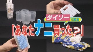 爆売れ推しアイテムTOP5&いま注目のぬい活も?ダイソーで調査「あなたナニ買った?」【チャント!特集】