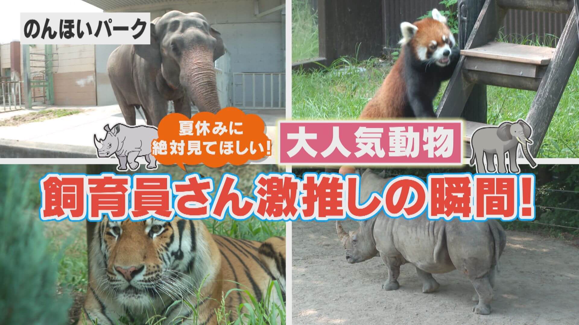 【飼育員に聞く】夏限定の瞬間！のんほいパーク 動物たちの激かわシーン！【チャント！特集】