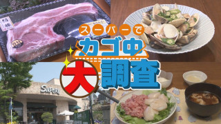 【密着】その食材で何を作りますか？お宅の晩ご飯 撮らせて下さい！【チャント！特集】