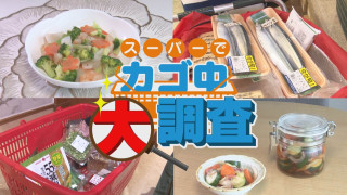 【密着】その食材で何を作りますか?お宅の晩ご飯 撮らせて下さい!【チャント!特集】