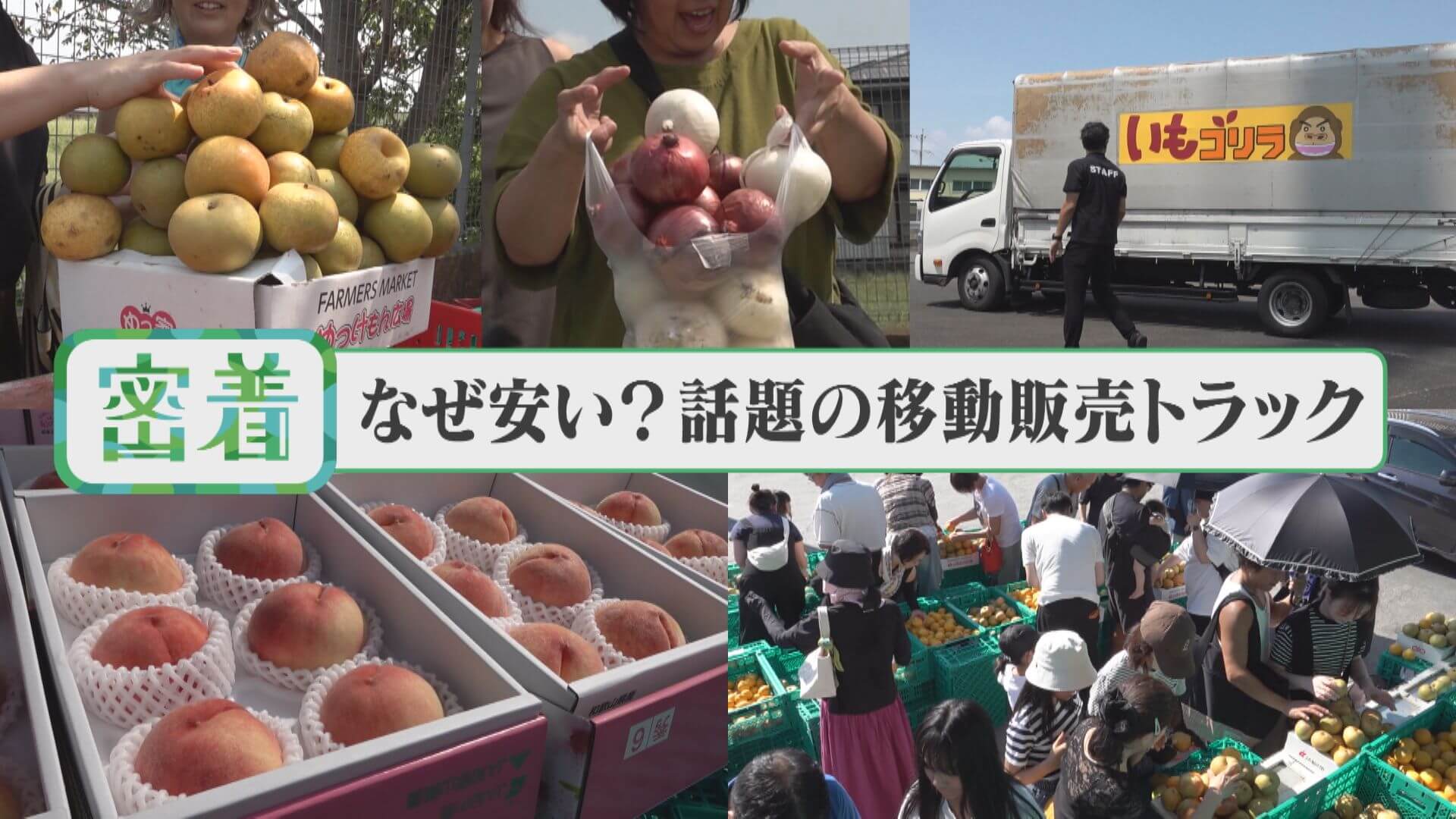 話題の「いもゴリラ朝市」野菜や果物がお値打ち＆積み放題！？【チャント！特集】
