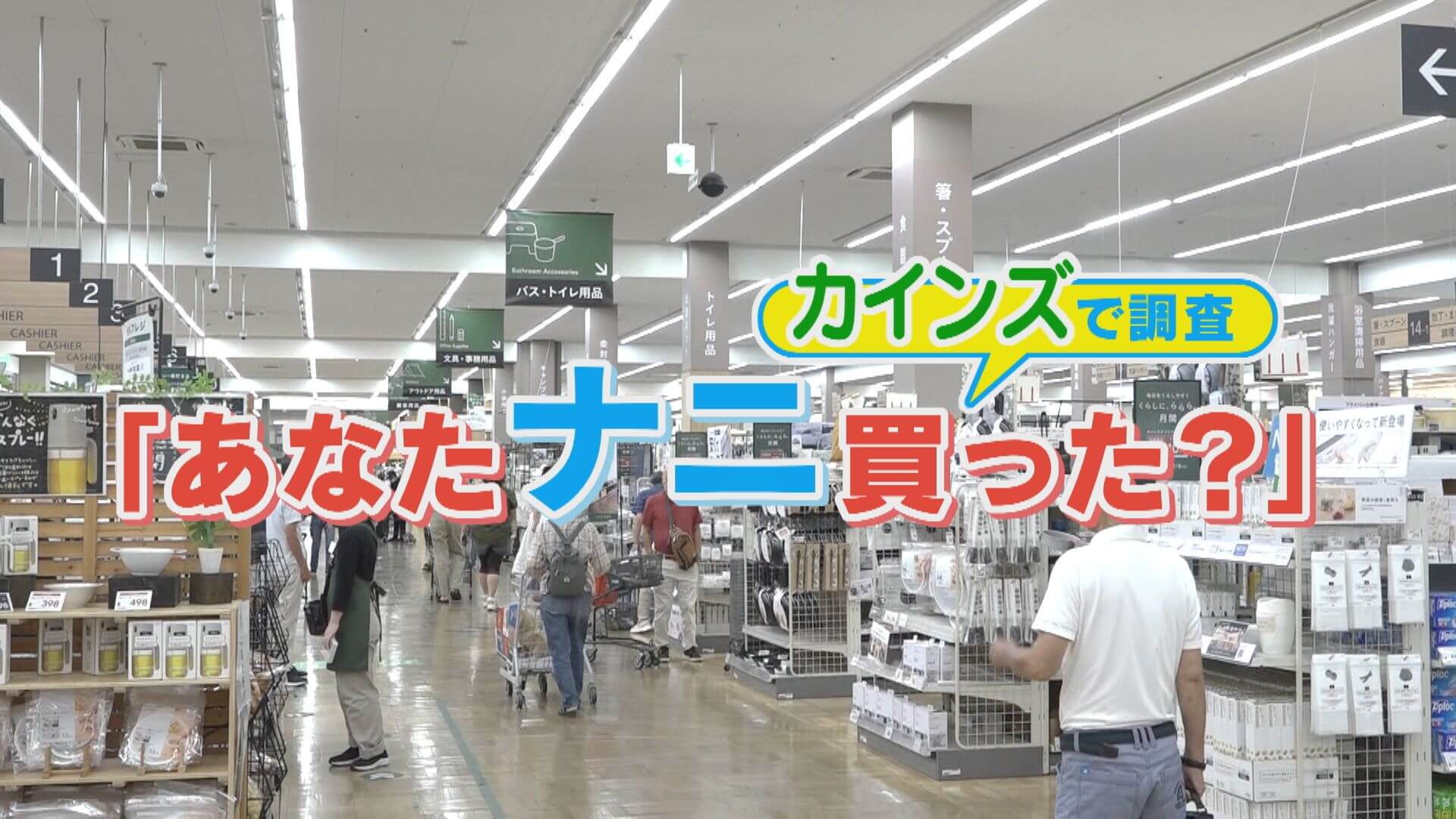 カインズで何買った？お値打ち激売れ商品＆衝撃DIYも？【チャント！特集】