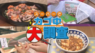 【密着】その食材で何を作りますか?お宅の晩ご飯 撮らせて下さい!【チャント!特集】