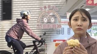 友廣アナの自転車旅｜のんほいパークでライオンの赤ちゃん？豊橋伝統のスイーツに感動！新城市～静岡・弁天島まで60kmの自転車旅