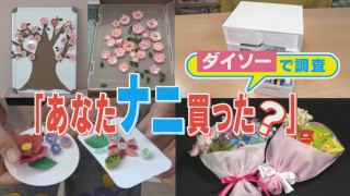 【ダイソーで何買った？】100円ショップ“今売れている商品”調査 ダイソーの買い物客に聞き込み！【チャント！特集】