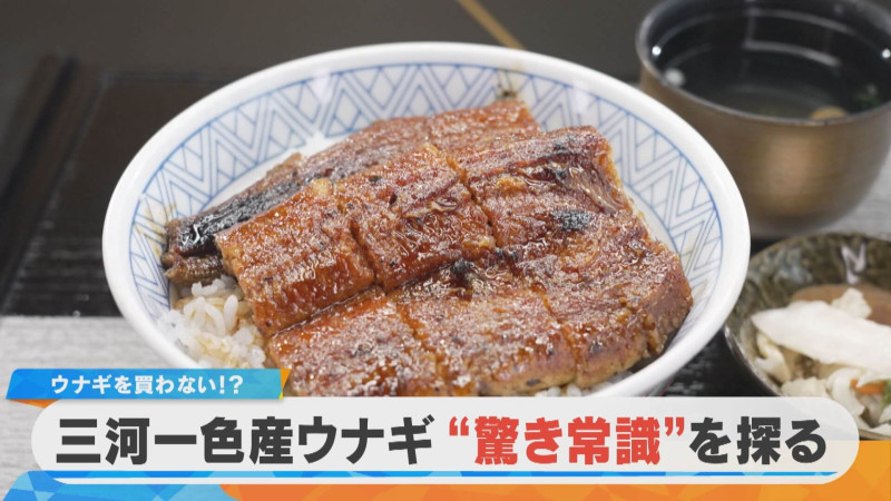 西尾市一色町民はウナギを買わない！？三河一色産ウナギ 驚き常識を探る【チャント！特集】