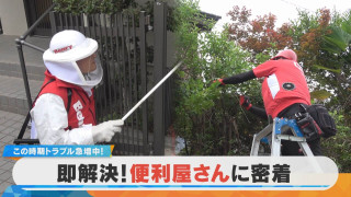 この時期トラブル急増中！即解決・便利屋さんに密着【チャント！特集】