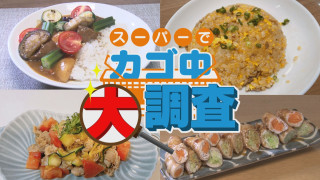 【密着】その食材で何を作りますか？お宅の晩ご飯 撮らせて下さい！【チャント！特集】