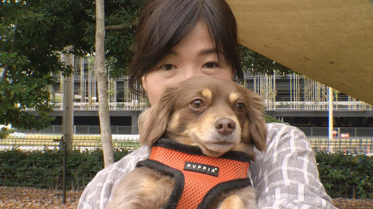 【東海地方の魅力を紹介】愛犬と楽しめる名古屋市のお出かけスポット