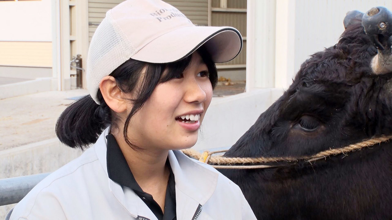 和牛甲子園で全国1位！…「出荷の時はせつないけど…」牛に青春捧げ愛情注ぐ高校生に飛騨高山高校 生物生産科で出会った | CBC  MAGAZINE（CBCマガジン）