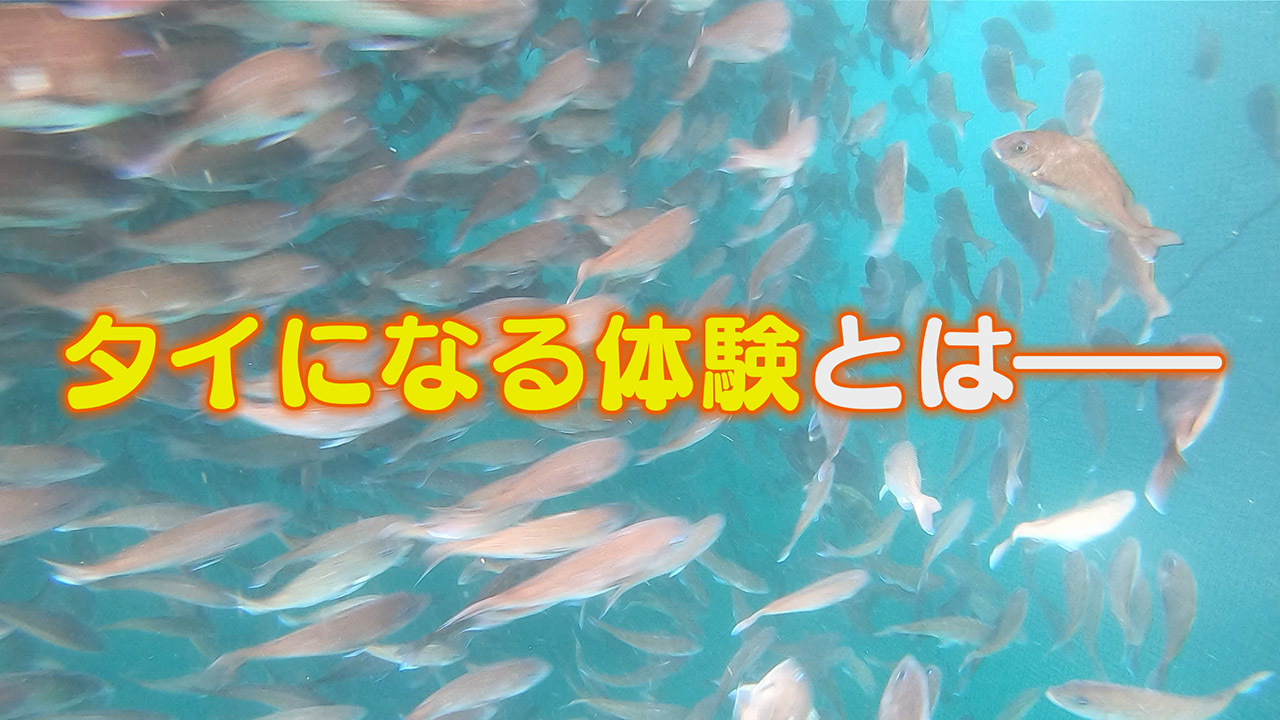 [SDGs]未来にワクワクを　全国でココだけ！？～「タイになる」体験