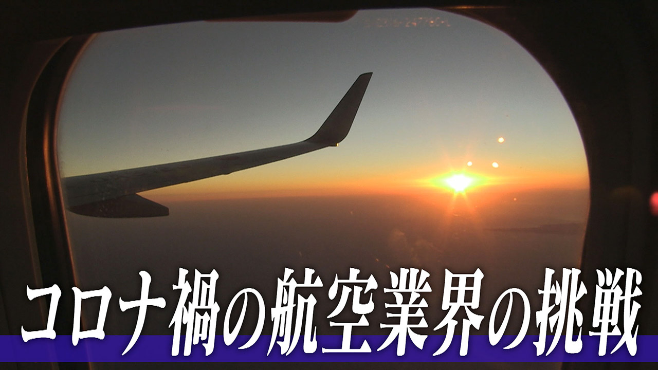 アイデアで勝負！コロナ禍の航空業界の挑戦