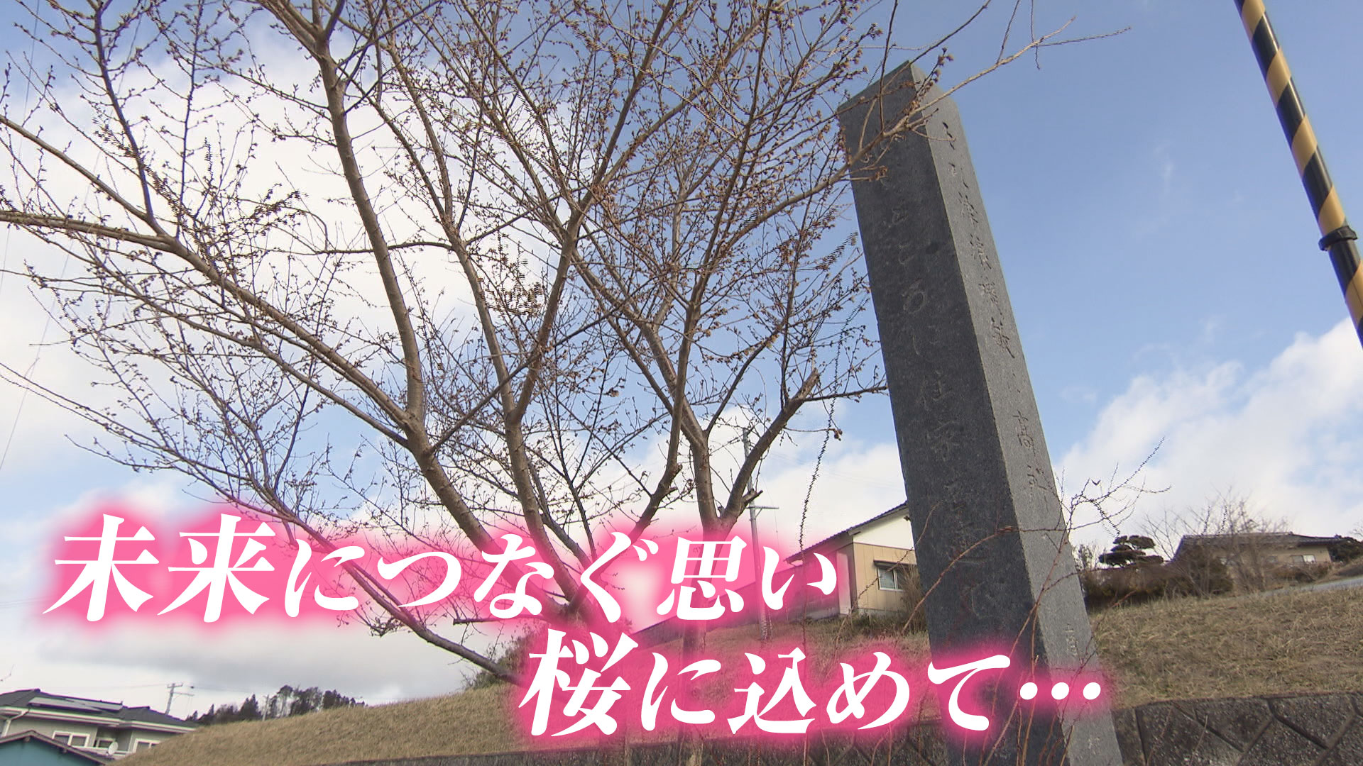 震災翌年、陸前高田市に派遣された名古屋の中学生が、３回目の訪問。昔から建てられていた石碑に書かれていた文字とは？　そして桜を植える理由は…