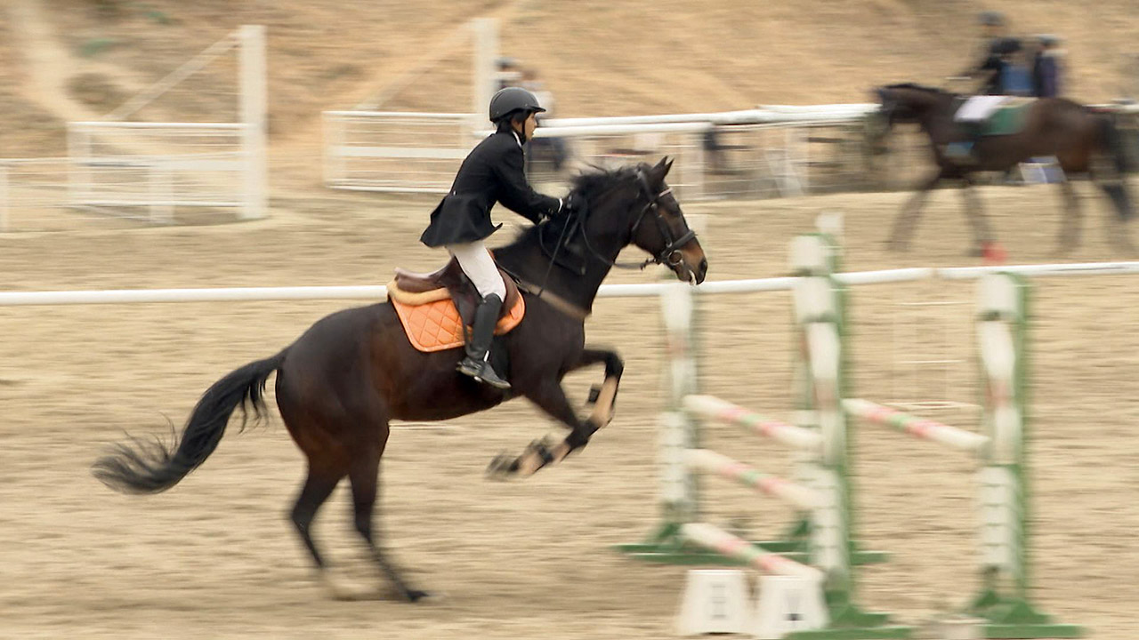 “部員5人で馬6頭”の馬術部　コロナ禍で維持費ピンチ「50万円足りない…」