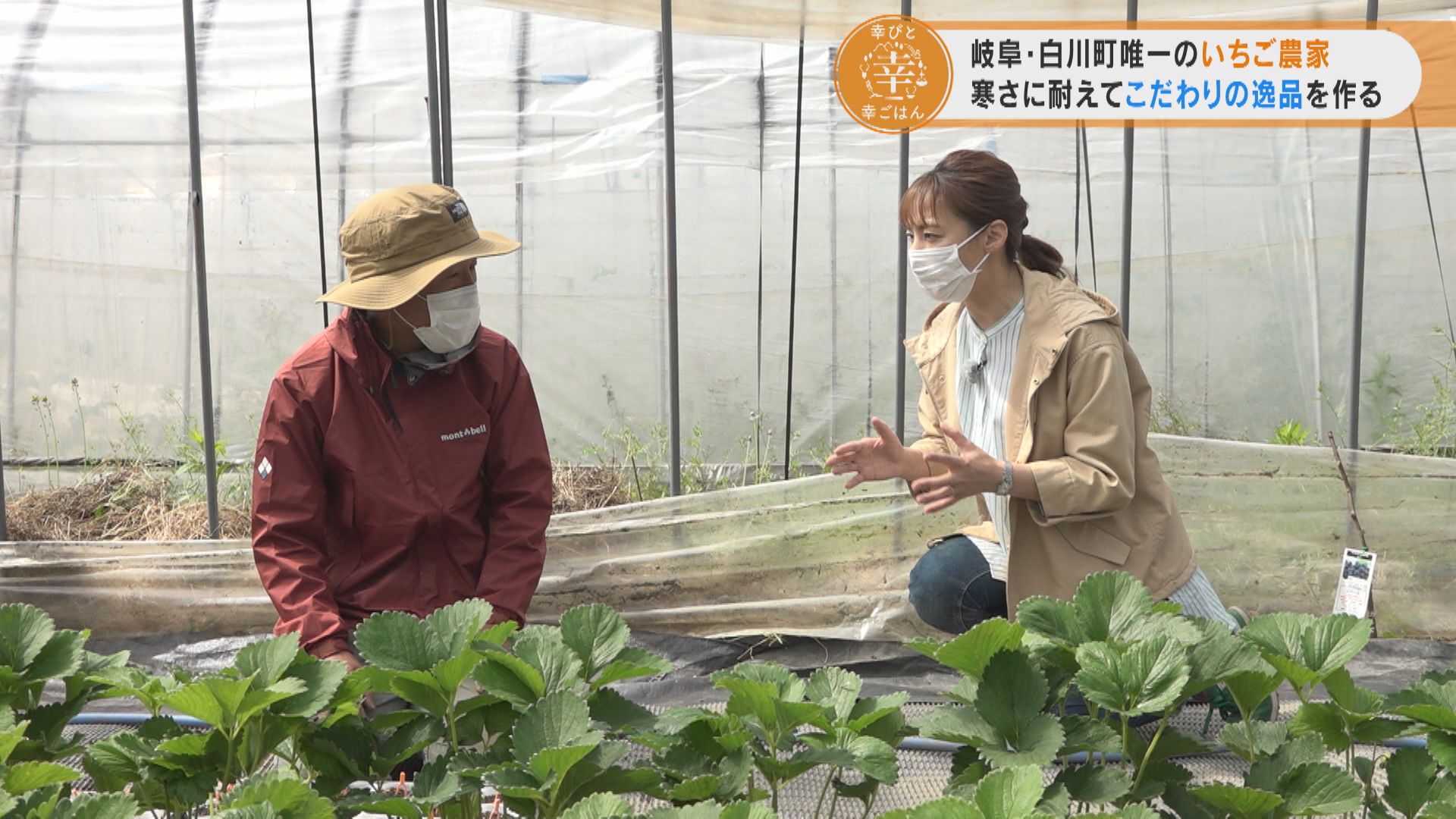 白川町で唯一いちごを育てる“幸びと”