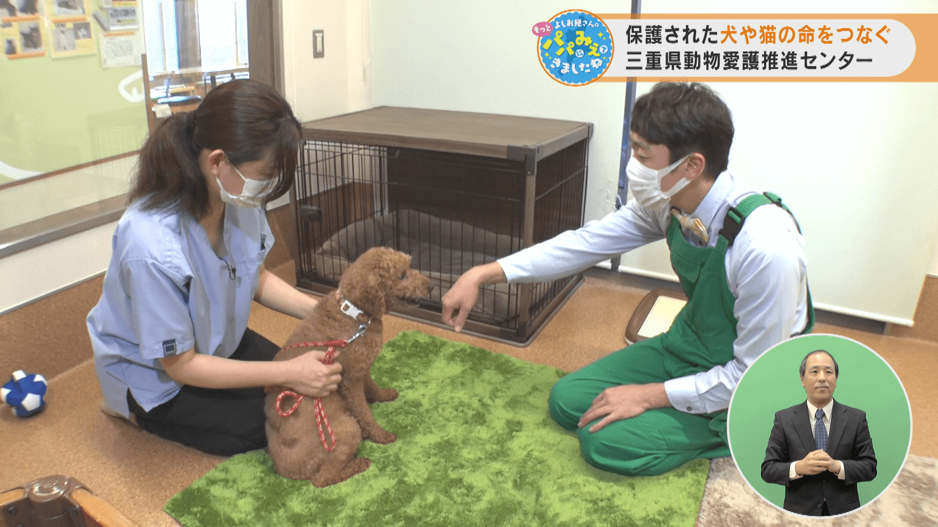 保護された犬や猫の命をつなぐ 三重県動物愛護推進センター