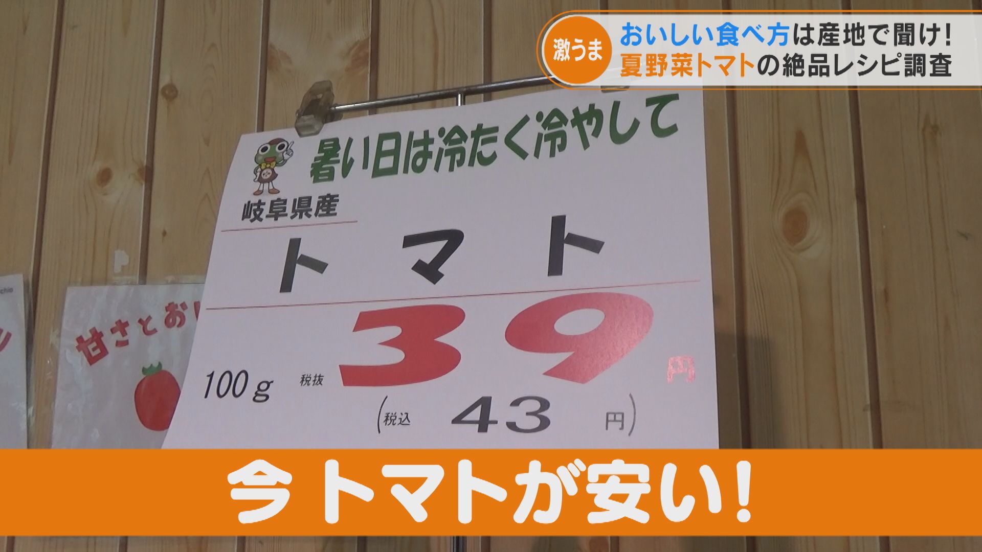 今年のトマトは市場に多く出回り価格が低下！？産地を調査していると“幻のトマト”も発見！