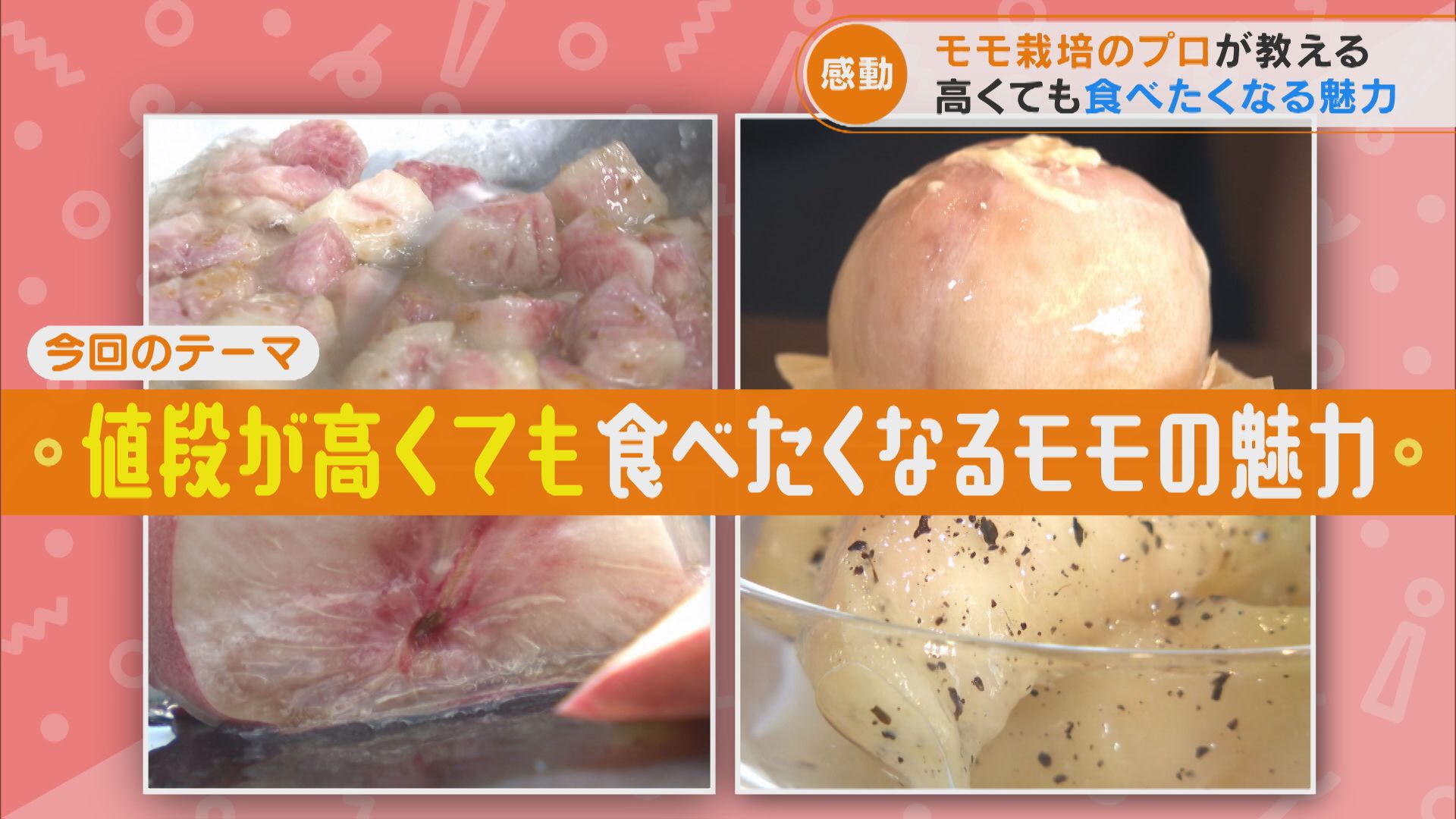 【レコMAP】モモ栽培のプロが教える！高くても食べたくなる魅力とは？【チャント！特集】