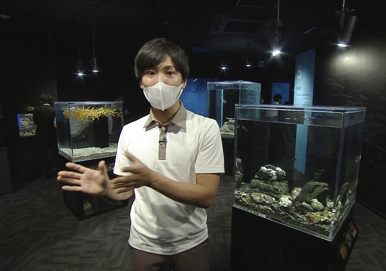 高知に四国最大級の水族館がオープン 1万匹のイワシの群れに感動