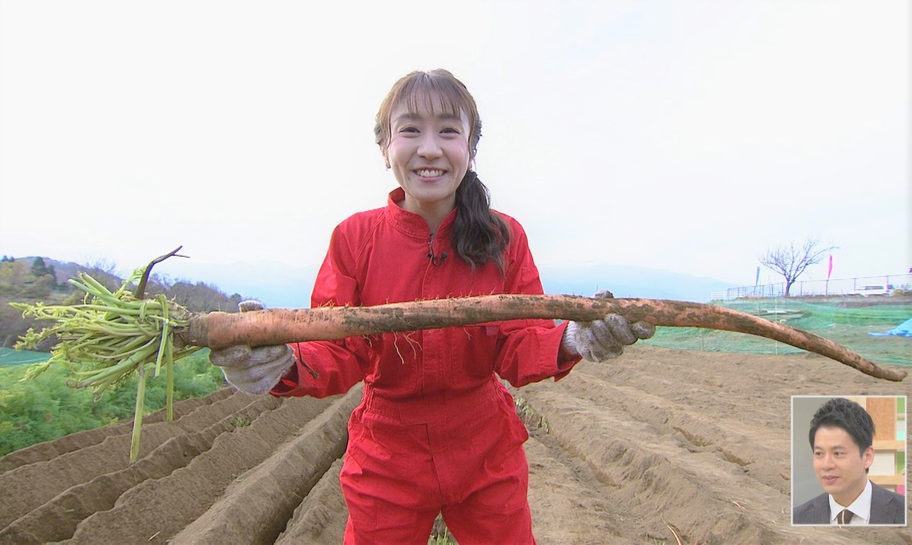 長さにビックリ！甘さにニッコリ！山梨「大塚にんじん」が収穫最盛期