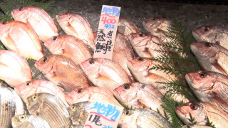 自ら魚をセリ落として激安で提供！しかも鮮度抜群！年間120万人が訪れる鮮魚市場「魚太郎」の人気の秘密に迫る！