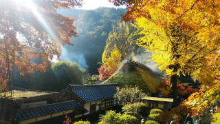 東海3県の人気紅葉スポットを調査！1位は55万人が訪れた愛知・豊田市の「香嵐渓」！地元民オススメ“紅葉グルメ”も見逃せない