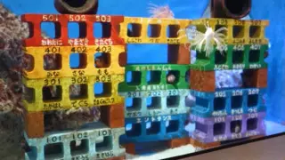 水槽の中にマンション登場！？生きものの習性を生かした展示方法にあっぱれ！「竹島水族館の人気ランキング」第1位は？