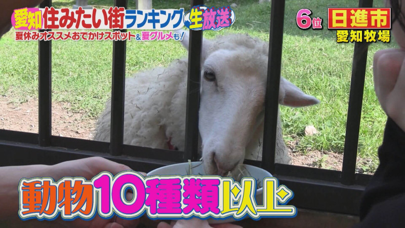 CBCテレビ『デララバ』