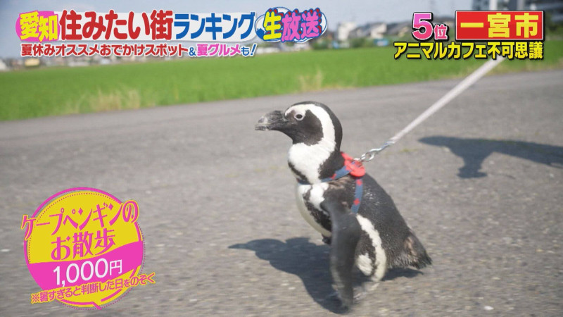 CBCテレビ『デララバ』