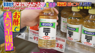 「半田市の人はお酢のニオイで雨を予想」！？市民も知らないウワサとは？東海地方の有名企業などド定番に関する投稿を検証！