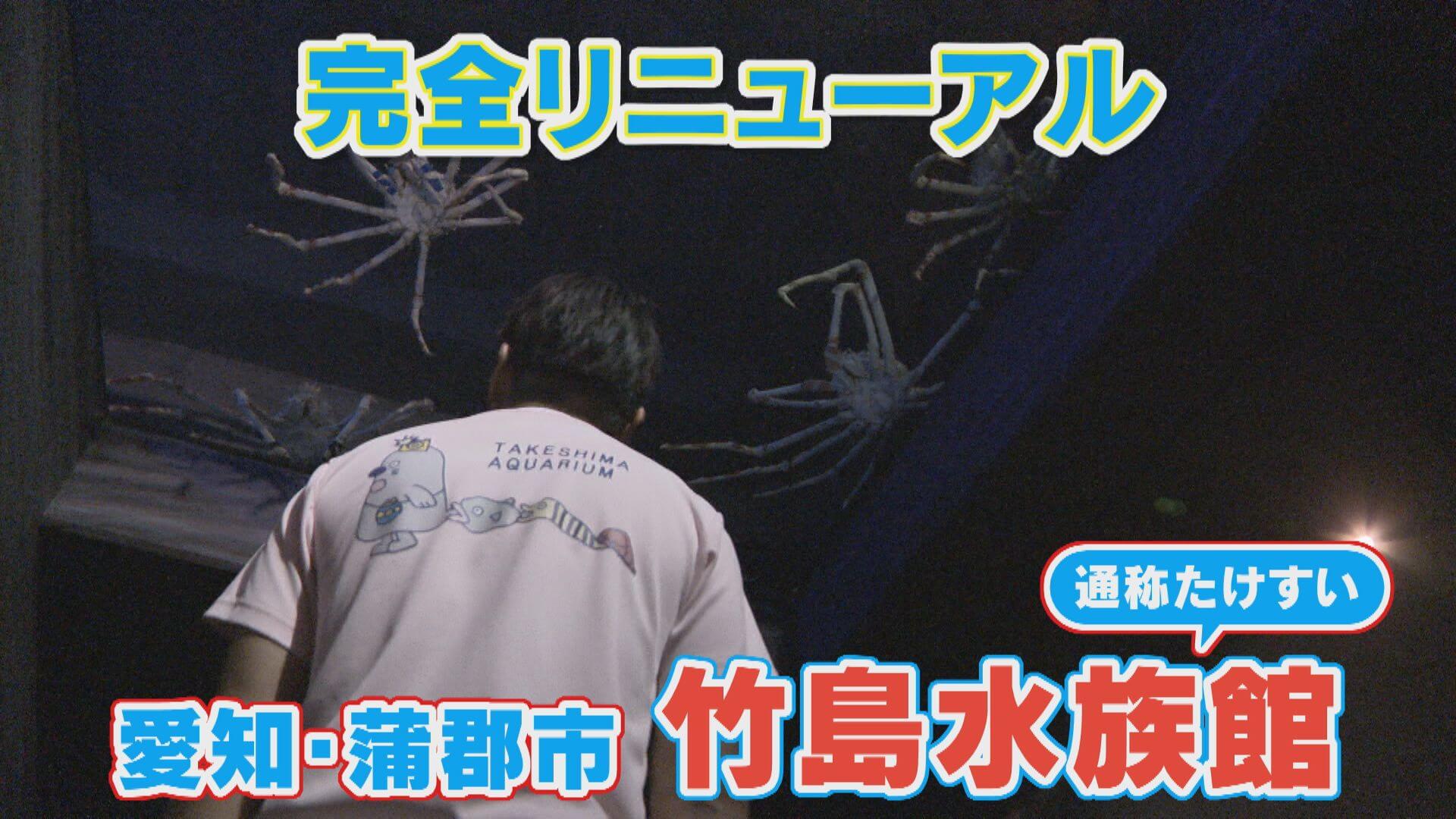 総額7億円の大リニューアル！【竹島水族館(たけすい)】のリニューアルに密着！【チャント！特集】