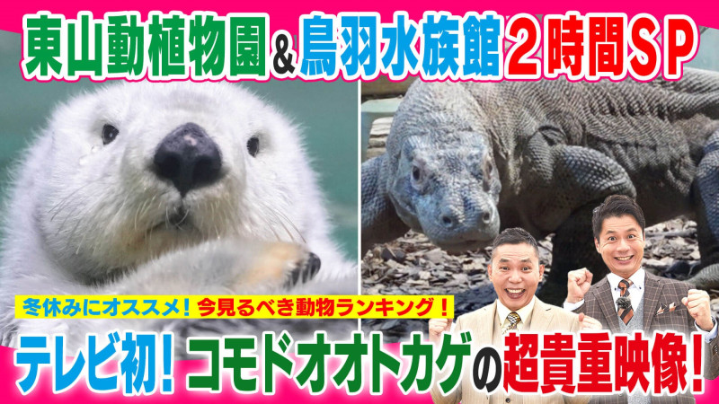 東山動植物園＆鳥羽水族館２時間ＳＰ【太田×石井のデララバ】