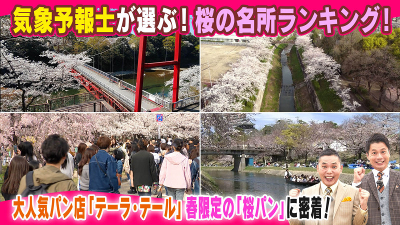 気象予報士が選ぶ!桜の名所ランキング!【太田×石井のデララバ】