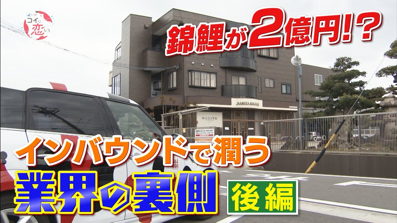 【後編】「カネに糸目はつけない！」海外富裕層のお目当ては２億円の錦鯉!?「コイに恋して」【CBCドキュメンタリー】