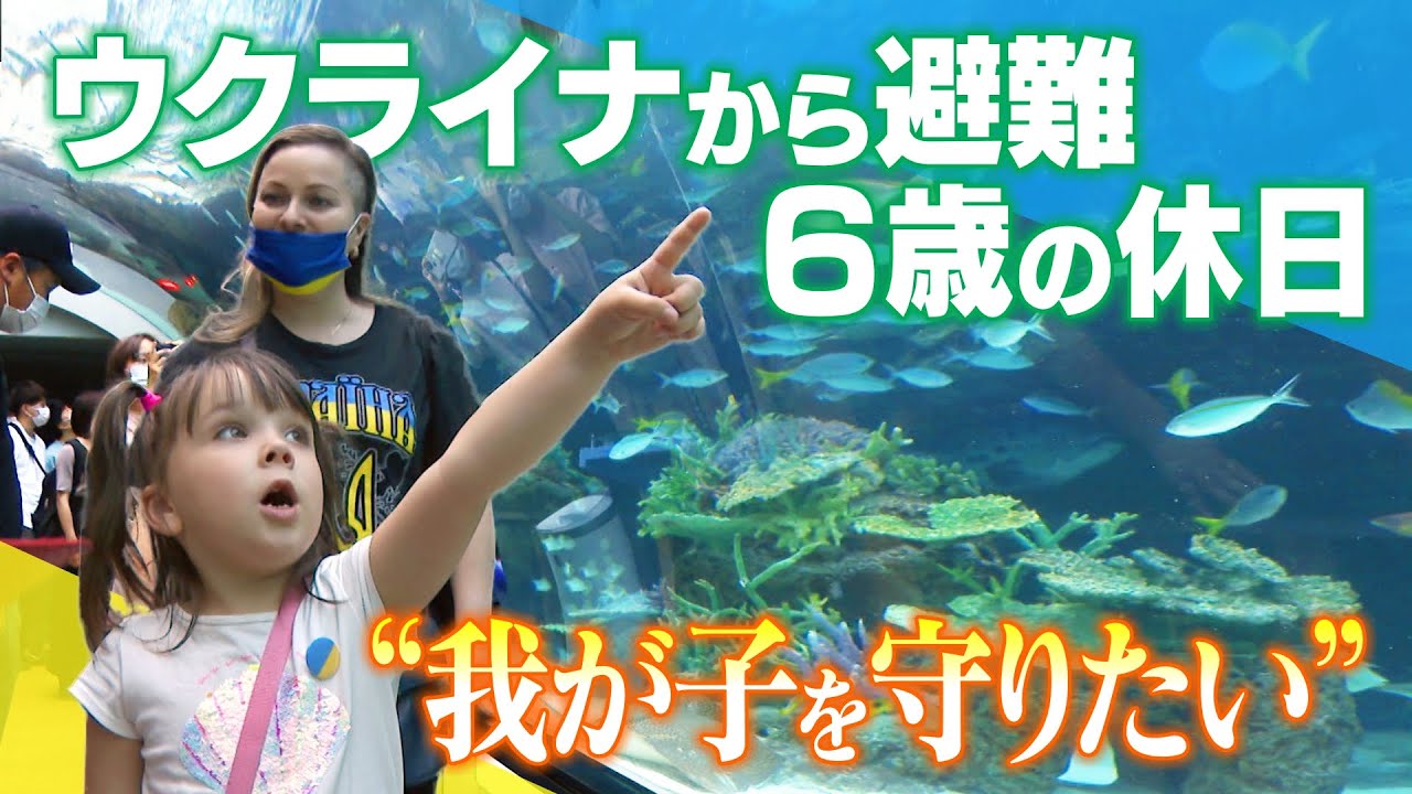 ウクライナ避難親子のお出かけ‥ニッポンの“水族館”は驚きの連続　「戦争のことはあえて話さない」母の決意