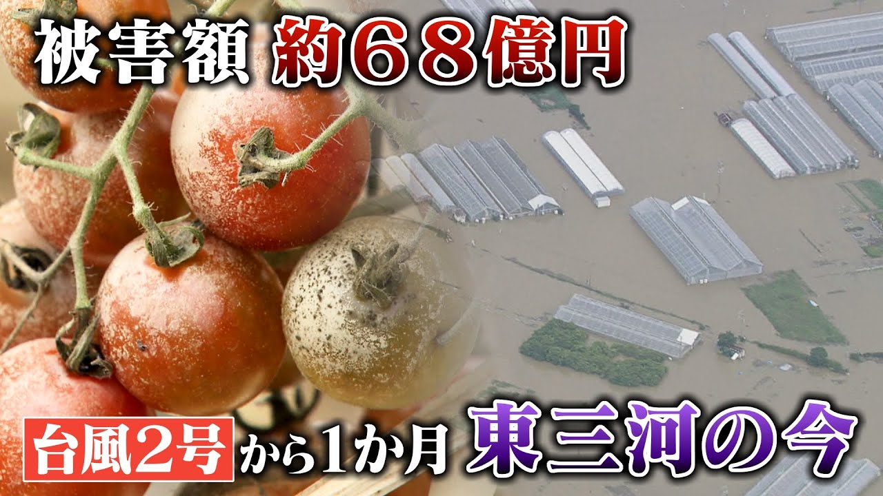 ウナギが逃げてアユも流され…三河豪雨被害から間もなく一か月 徐々にわかってきた被害の全容「立ち直れる支援を」