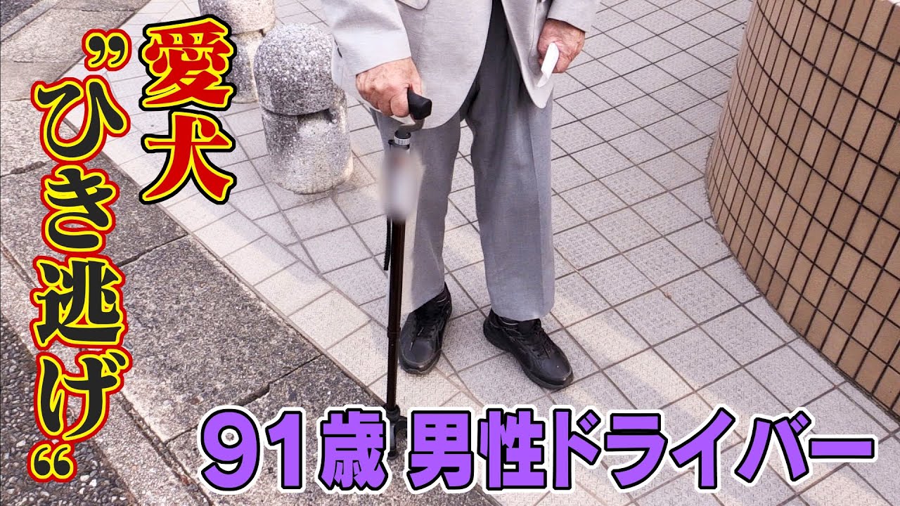 6歳女児連れた愛犬 “ひき逃げ” 91歳男性を書類送検「ぼーっとして運転して赤信号突っ切っちゃった」男性が飼い主に謝罪　免許の返納は…