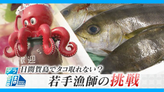 名物のタコが取れない?海水温上昇で「死活問題」に…21歳の漁師が仕掛けるブランド化戦略