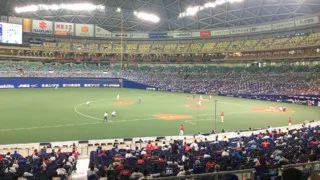 ドラゴンズの歴史的大惨敗をナゴヤドームで観戦した日