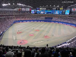 いざ交流戦へ！本拠地ドーム５階席で検証した井上ドラゴンズの“現在地”
