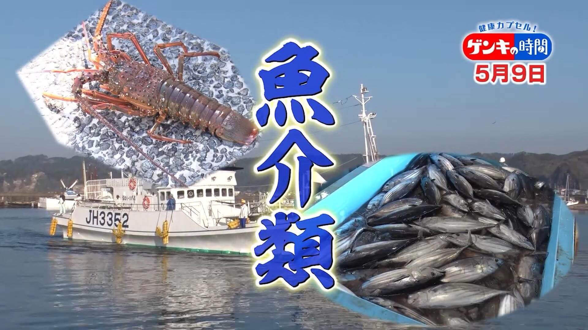 海の恵み 魚介類 | CBC MAGAZINE（CBCマガジン）