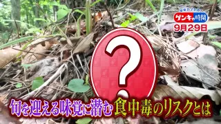 「食中毒」市販のキノコも要注意！…秋に食中毒が多い3つの理由と予防のポイント