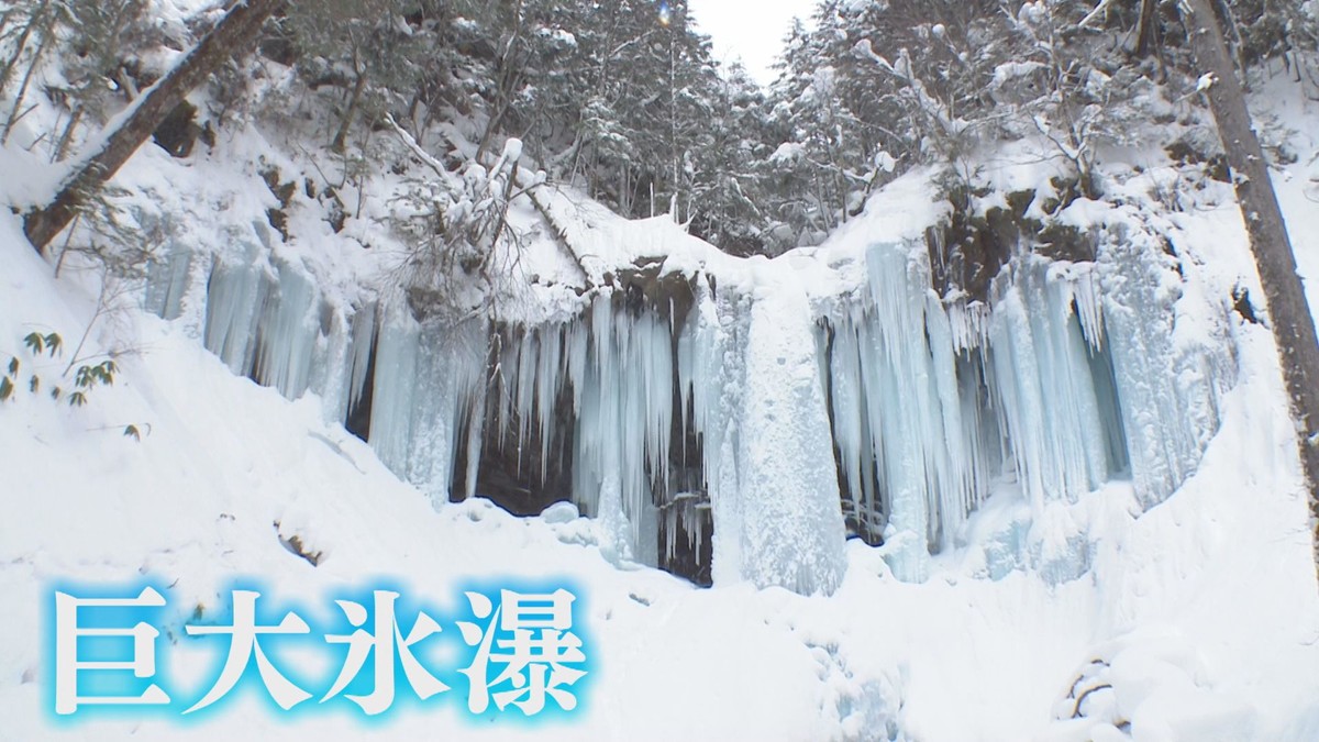 CBCテレビ「花咲かタイムズ」