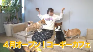 ブラックサンダーの工場見学＆詰め放題！癒しのコーギーカフェも 雨でも暑くても楽しめる最新“室内スポット”とは