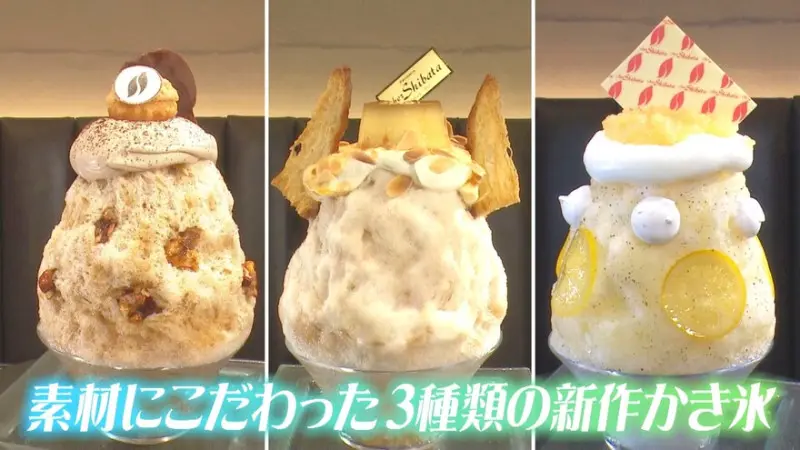 唯一無二の“ラタトゥイユかき氷”！？パンと一緒に食べる濃厚かき氷も